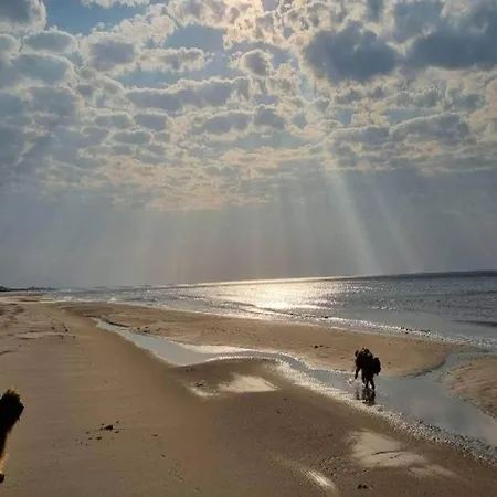 4 Person On A In Apartment