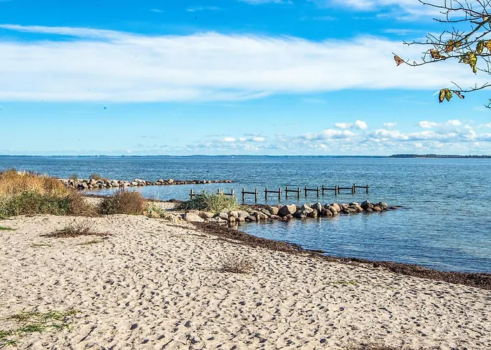 Apartment 4 Person On A In