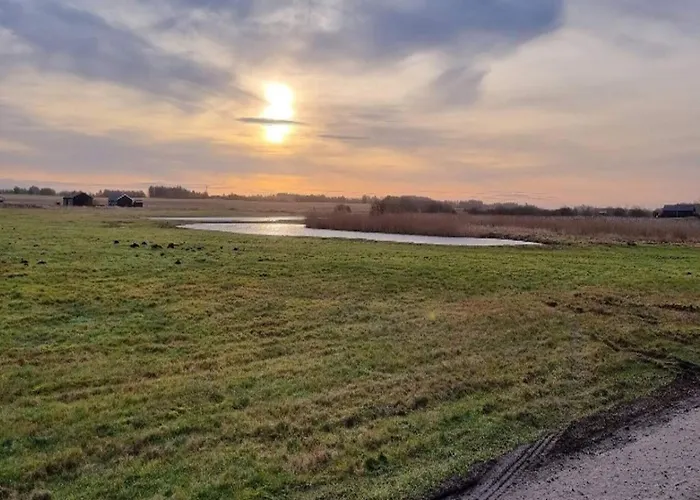 4 Person On A In Hejls