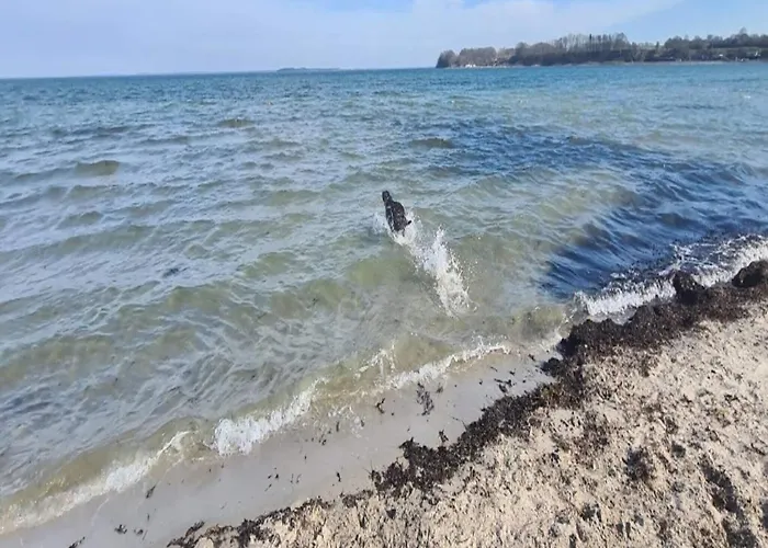 4 Person On A In Apartment *