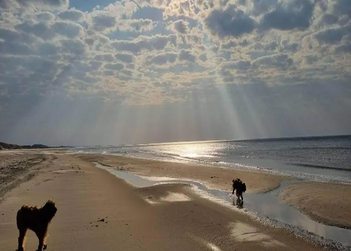 Apartment 4 Person On A In Hejls